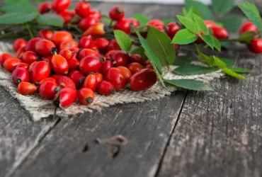 Kuşburnu Nedir? Nasıl Tüketilir?