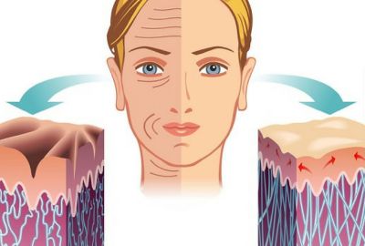 Tip 4 Kolajen Nedir? Ne İşe Yarar?