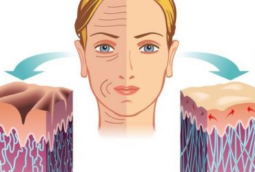 Tip 4 Kolajen Nedir? Ne İşe Yarar?